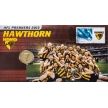 Монета Австралия 1 доллар 2013 год. Hawthorn Football Club. Буклет