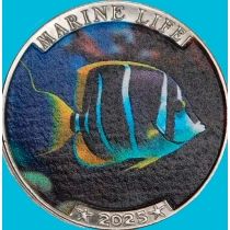 Индия, остров Наркондам 25 рупий 2025 год. Голубой хирург 