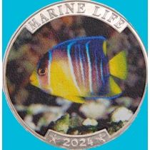 Индия, остров Наркондам 25 рупий 2024 год. Карибская голубая рыба-ангел