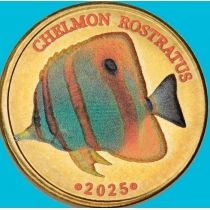 Малайзия, Лабуан 5 ринггит 2025 год. Меднополосый хелмон