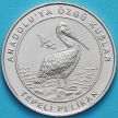 Монета Турция 1 куруш 2018 год. Кудрявый пеликан.