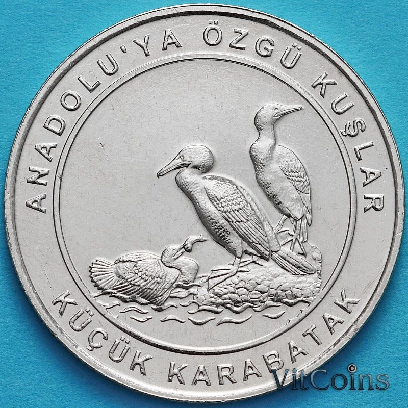 Монета Турция 1 куруш 2018 год. Малый баклан.