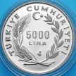 Монета Турция 5000 лир 1992 год. Турецкие евреи, 500 лет мира и гармонии.