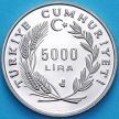 Монета Турция 5000 лир 1991 год. Год Любви - Юнус Эмре