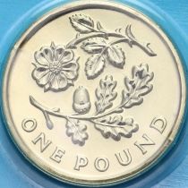 Великобритания 1 фунт 2013 год. Флора Англии - Роза и дуб. BU