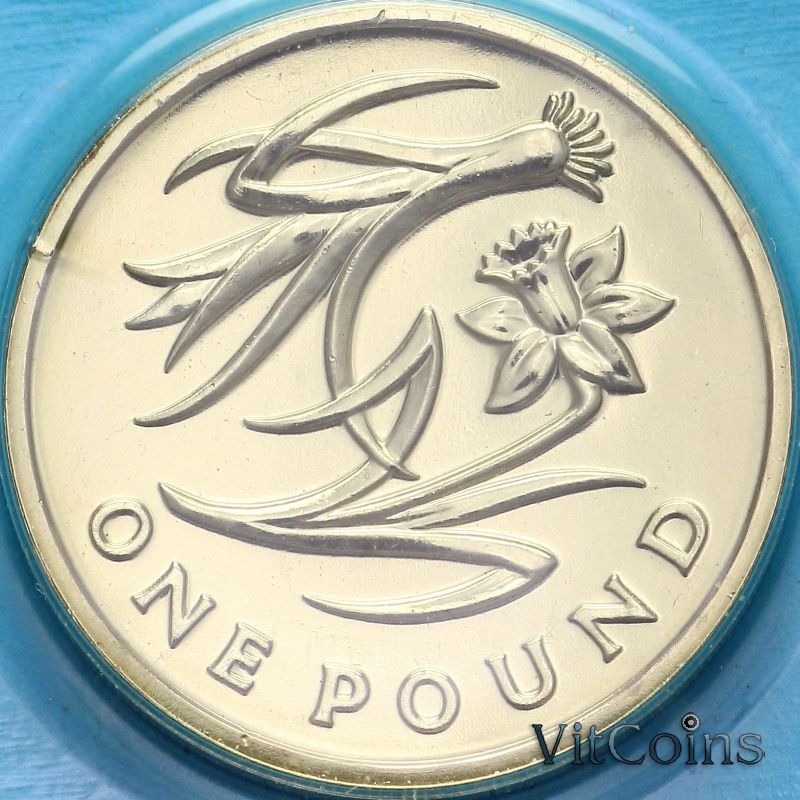 Монета Великобритания 1 фунт 2013 год. Флора Уэльса - Лук-порей и нарцисс. BU Монета Великобритания 1 фунт 2013 год. Флора Уэльса - Лук-порей и нарцисс. BU