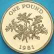 Монета Гернси 1 фунт 1981 год. Лилии. Пруф