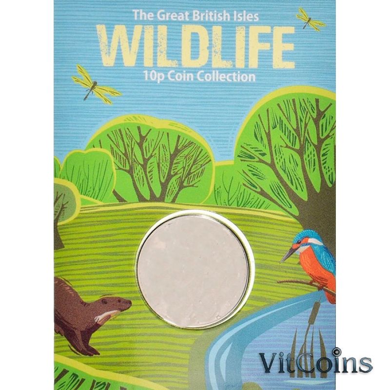 Монета Гернси 10 пенсов 2021 год. Жук-олень. Блистер Монета Гернси 10 пенсов 2021 год. Жук-олень. Блистер