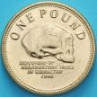 Монета  Гибралтар 1 фунт 2009 год. Череп неандертальца.