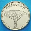 Монета  Гибралтара 1 фунт 2016 год. Драконово дерево.