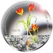 Греция 5 евро 2019 год. Тюльпан Гулими. Буклет