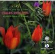 Греция 5 евро 2019 год. Тюльпан Гулими. Буклет