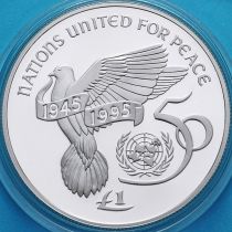 Ирландия 1 фунт 1995 год. 50 лет ООН. Серебро