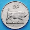 Монета Ирландии 5 пенсов 1969-1990 год. Бык. VF.