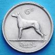 Монета Ирландия 6 пенсов 1964 год. Ирландский волкодав.