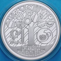 Кипр 1 фунт 1995 год. 50 лет ООН. Серебро