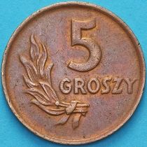 Польша 5 грошей 1949 год.