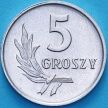 Монета Польша 5 грошей 1960 год.