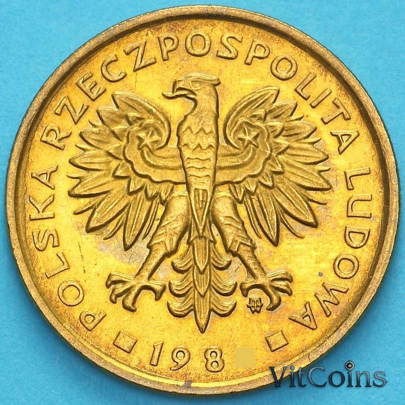 Монета Польша 2 злотых 1981 год.