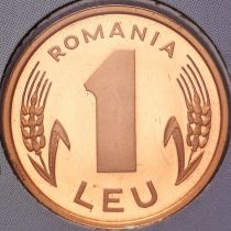 Румыния 1 лей 2004 год. Пруф